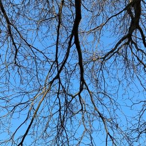 Meet your Posher, Mukim